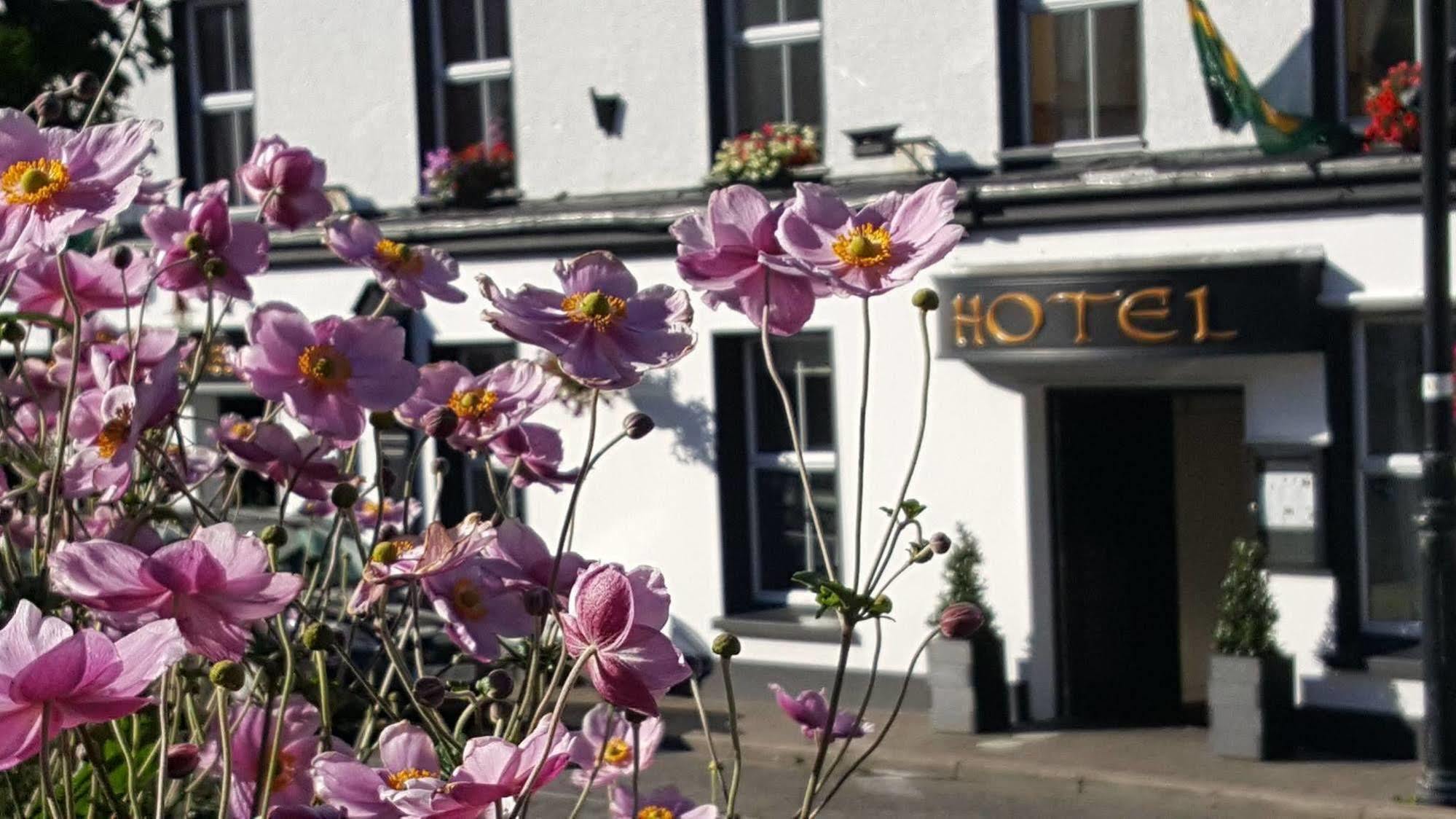 Nesbitt Arms Boutique Hotel Ardara Exterior photo